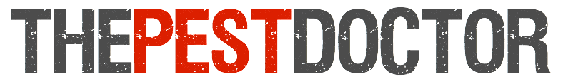 The Pest Doctor - Pest Control - Hampshire, City Centre, Shirley, Lordshill, Bittern, Sholing, Portswood, Woolston, Milbrook, Maybush, Upper Shirley, Merryoak, Nursling, Lordswood, The Polygon, Swaythling, Townhill Park, Chilworth, Stoneham, St. Marys, Thornhill Park, Midanbury, Hedge End, West End, Rownhams, Whiteley, Eastleigh, Segensworth. The Pest Doctor - Pest Control - Hampshire, City Centre, Shirley, Lordshill, Bittern, Sholing, Portswood, Woolston, Milbrook, Maybush, Upper Shirley, Merryoak, Nursling, Lordswood, The Polygon, Swaythling, Townhill Park, Chilworth, Stoneham, St. Marys, Thornhill Park, Midanbury, Hedge End, West End, Rownhams, Whiteley, Eastleigh, Segensworth.