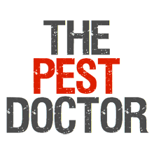 The Pest Doctor | Pest Control Southampton - CALL 07502 002042